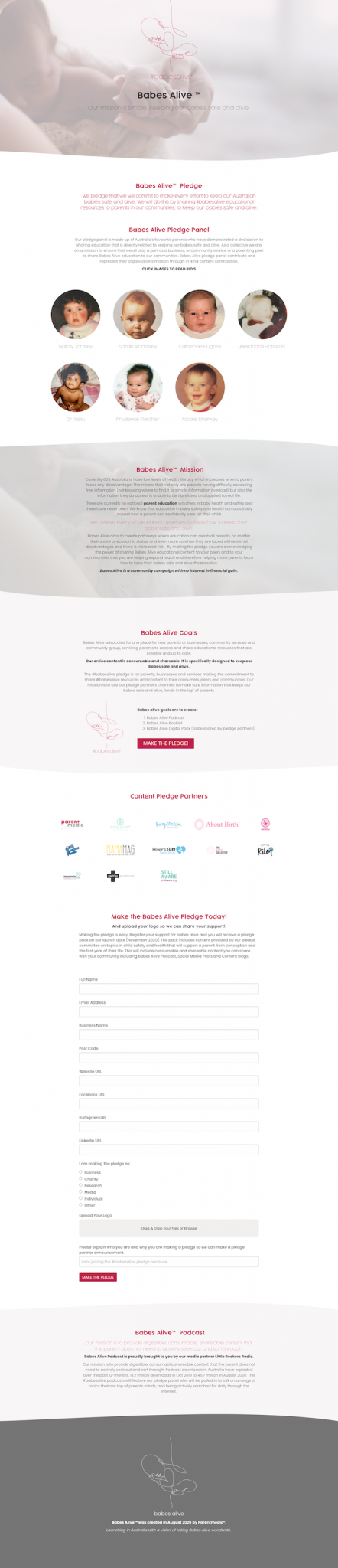 babesalive pledge website design